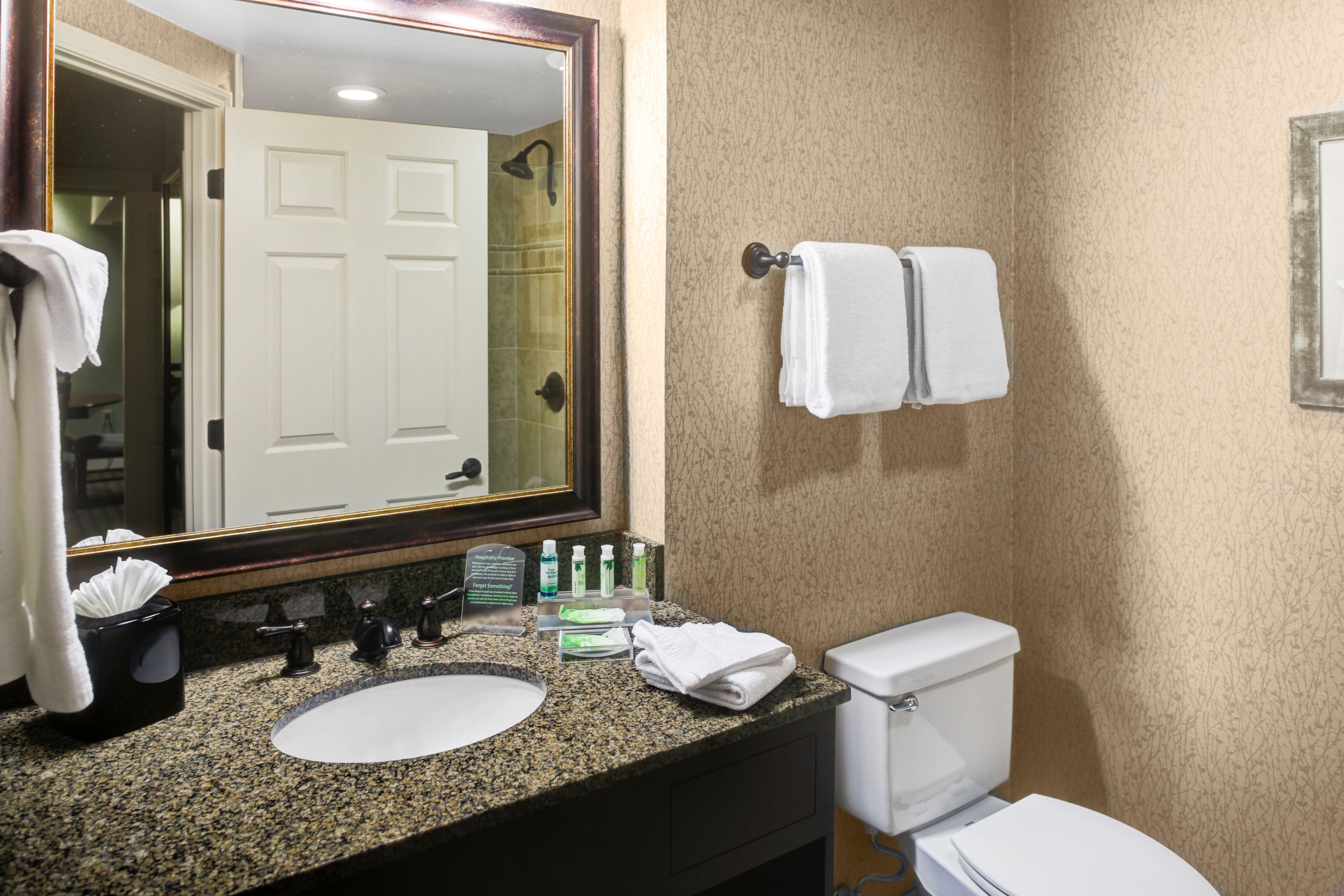 Holiday Inn Express Hotel & Suites Atlanta Buckhead By Ihg Luaran gambar